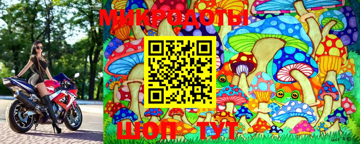 Псилоцибиновые грибы ЛСД  Псилоцибиновые грибы Magic Shrooms  Волхов  Вход с VPN 
